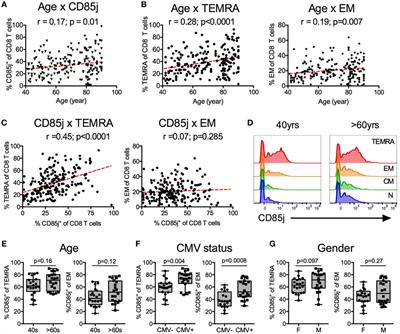 Immune Checkpoint Function of CD85j in CD8 T Cell Differentiation and Aging